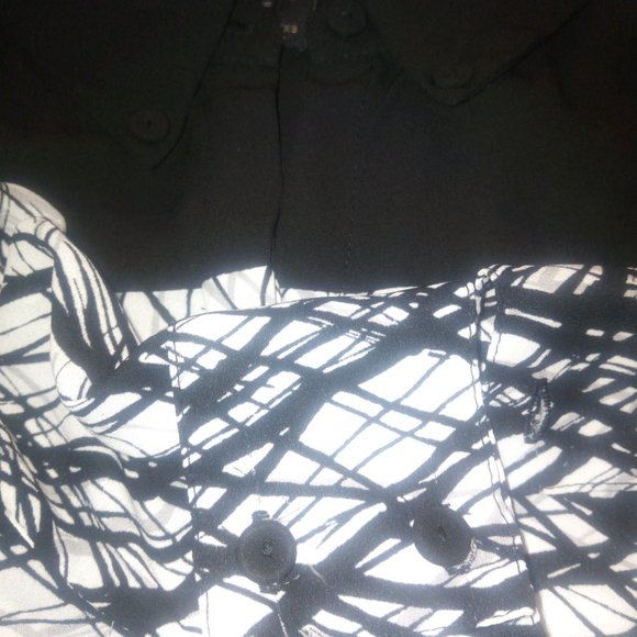 NWT Oversized BCBGMaxAzria High-Low Katee Blouse - Picture 6 of 9